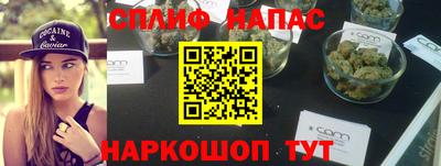 apvp Славгород