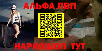 apvp Славгород