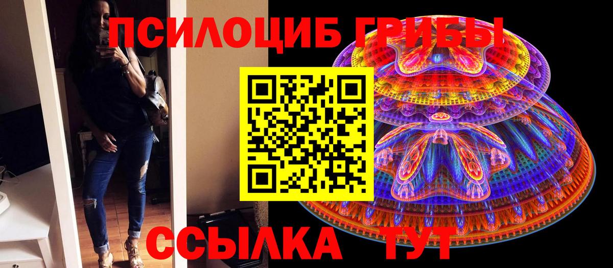 Псилоцибиновые грибы Psilocybine cubensis  Вход с VPN  цена   Нягань 