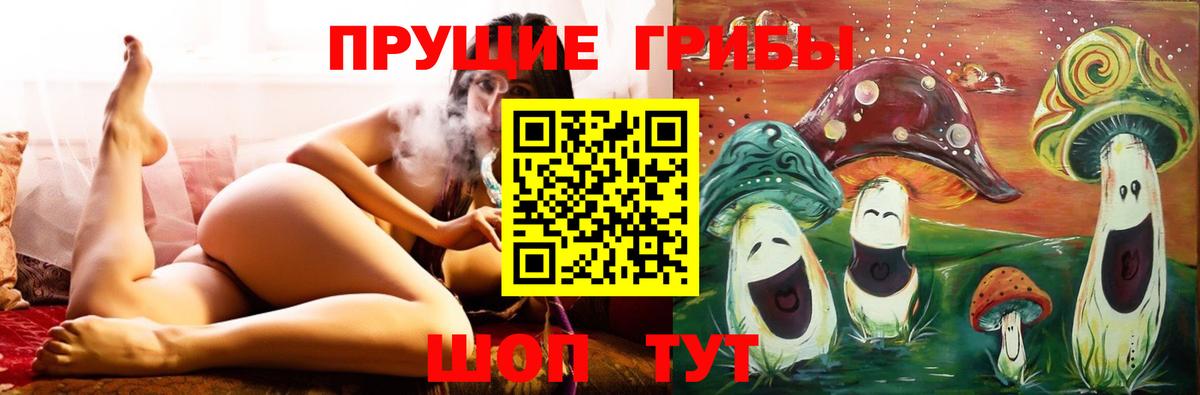 Псилоцибиновые грибы Cubensis Нягань
