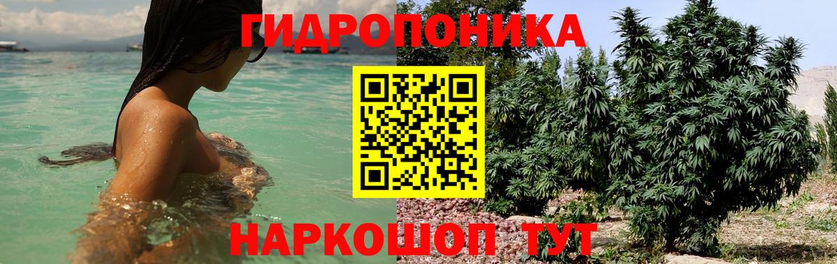 Марихуана марихуана  Вход с VPN  Бошки марихуана OG Kush  Нягань  Бошки марихуана семена 